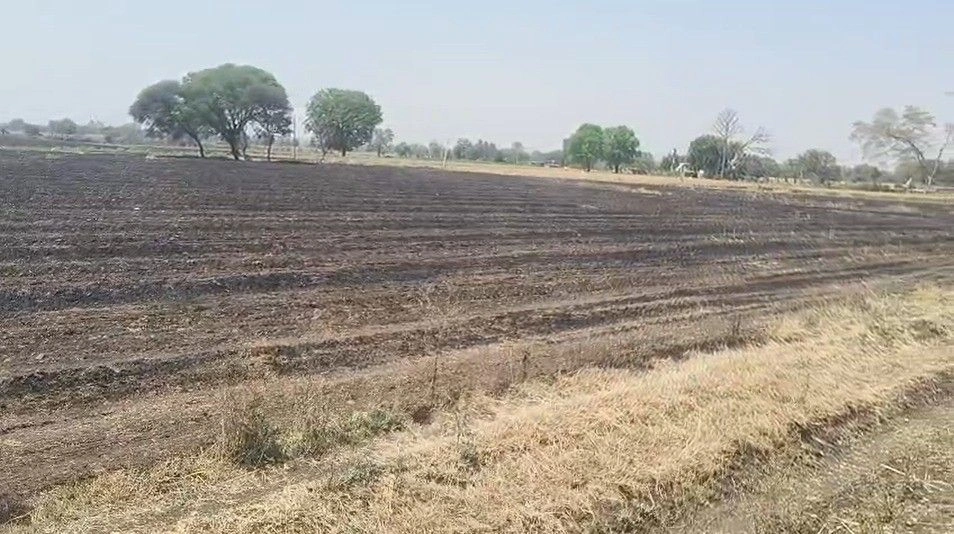 Jaora, Madhya Pradesh 457226, India preview 3