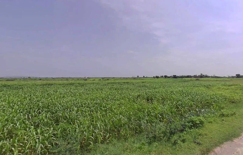 Pahari, Rajasthan, India preview 2