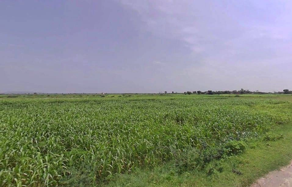 Pahari, Rajasthan, India