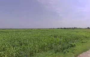 Pahari, Rajasthan, India preview 2