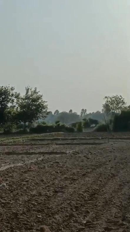 X5RM+47 Khoraj, Gujarat, India