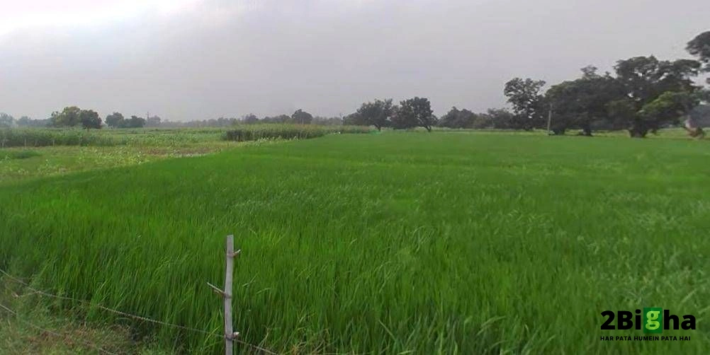 Kanpur - Lucknow Rd, Railway Colony, Alambagh, Lucknow, Uttar Pradesh, India