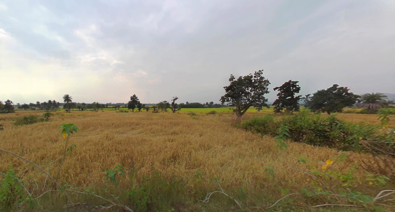 Baghmundi, West Bengal 723152, India