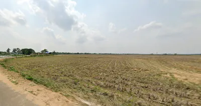 Bhubaneswar, Odisha, India preview 3