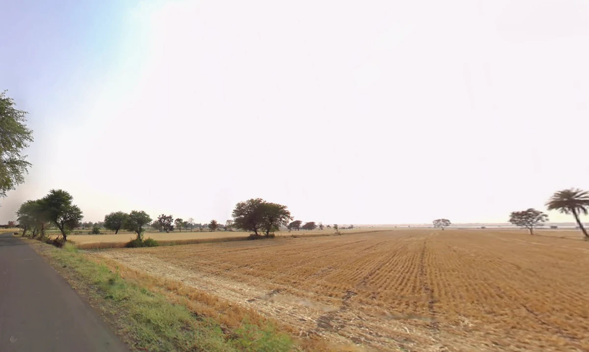 Delang, Odisha 752016, India