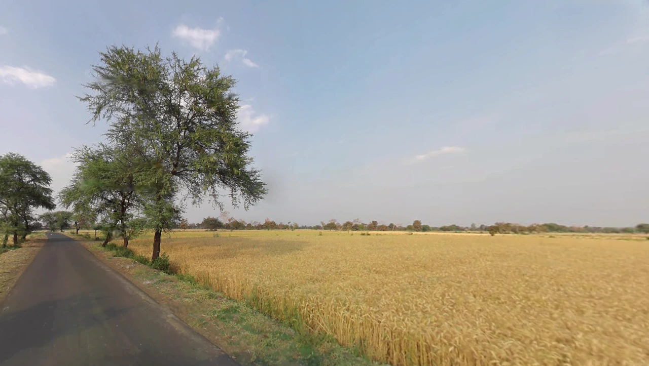 XRHF+MXM, Badshahi Rd, Satasankha, Badaharisankrpur, Odisha 752046, India