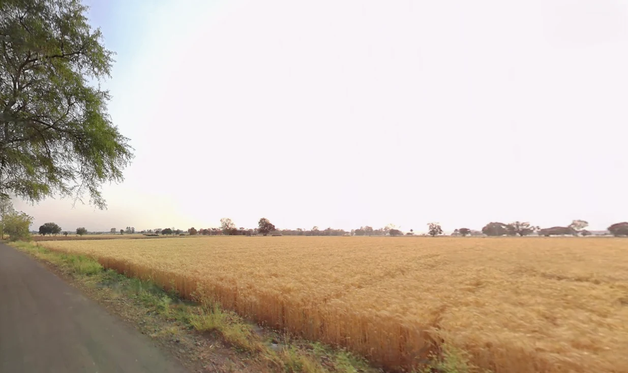 Brahmagiri, Odisha, India