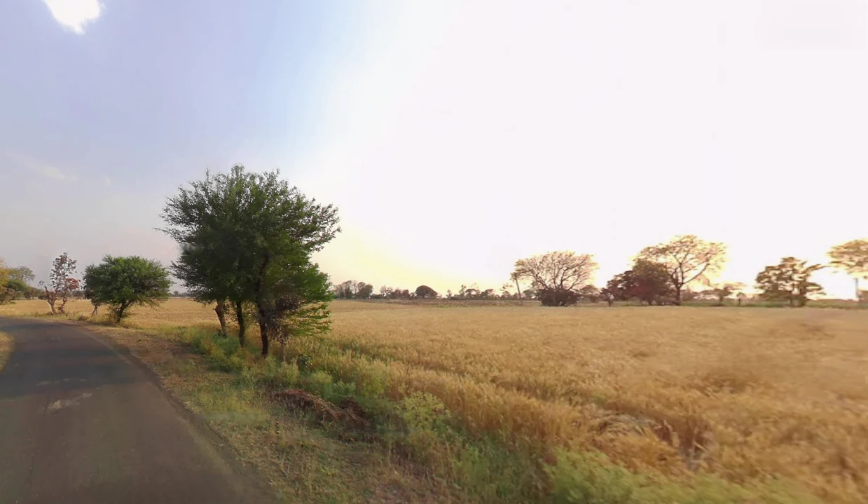 Sakhigopal, Odisha 752014, India preview 2