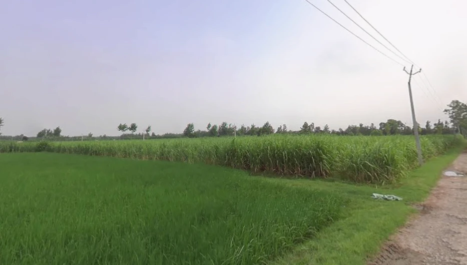 Sarsawa, Uttar Pradesh 247232, India
