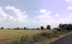 Dadam, Haryana 127040, India preview 2