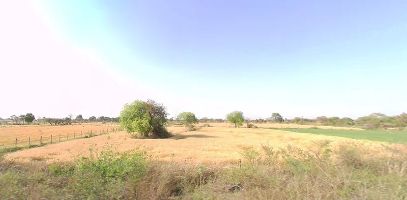 Karhi, Madhya Pradesh 451220, India preview 2