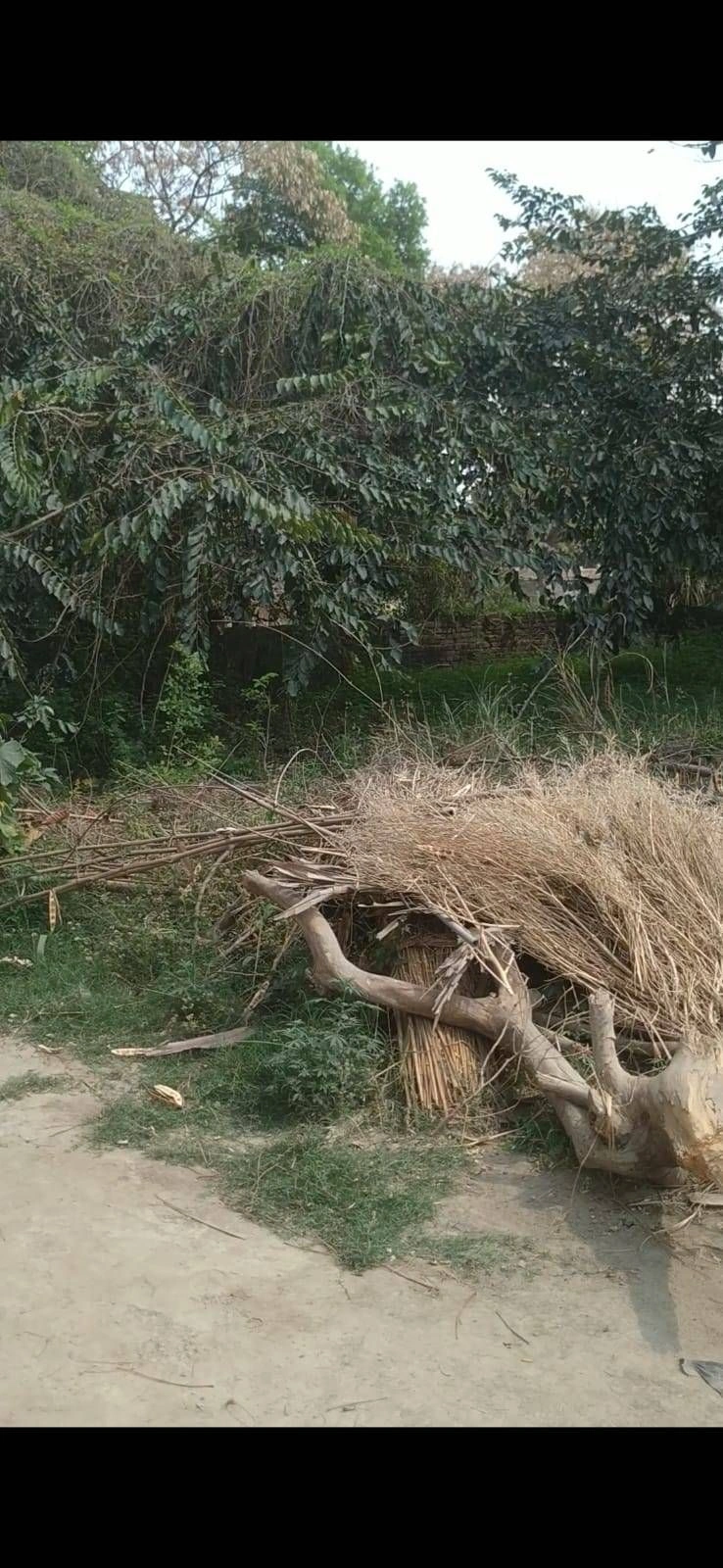 Dhan Ghata, Uttar Pradesh 272162, India