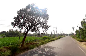 Sidhauli, Uttar Pradesh, India preview 3