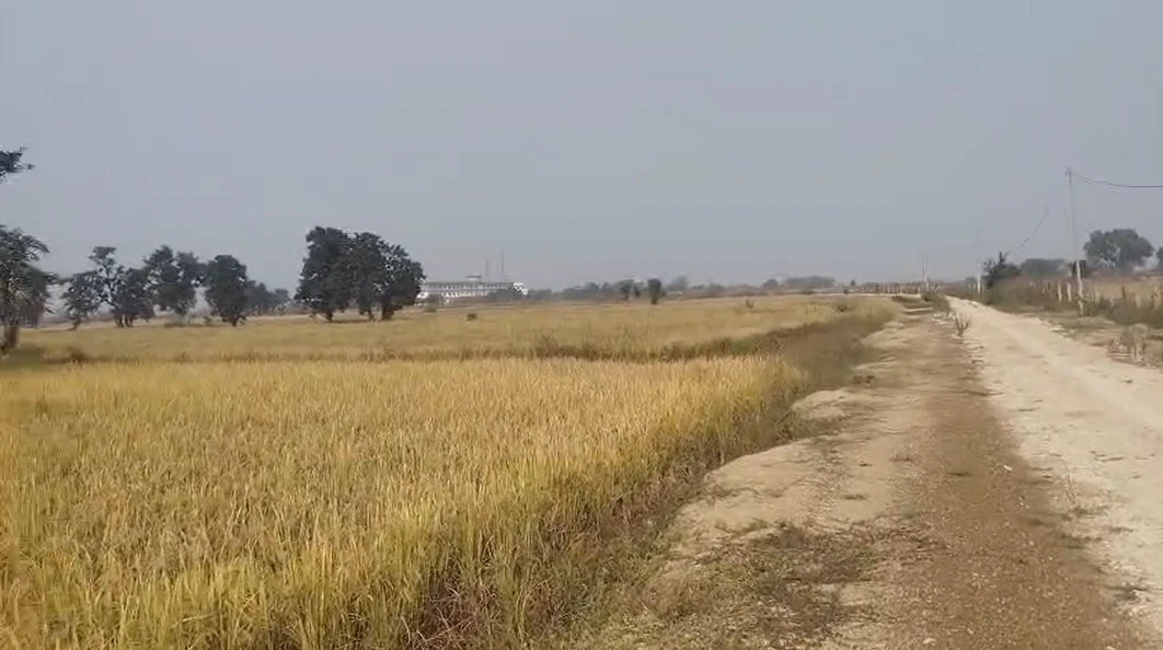 Chaukhada, Madhya Pradesh 486220, India