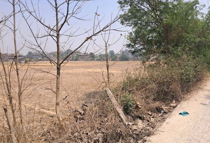 Biharinath Hill, West Bengal 722153, India
