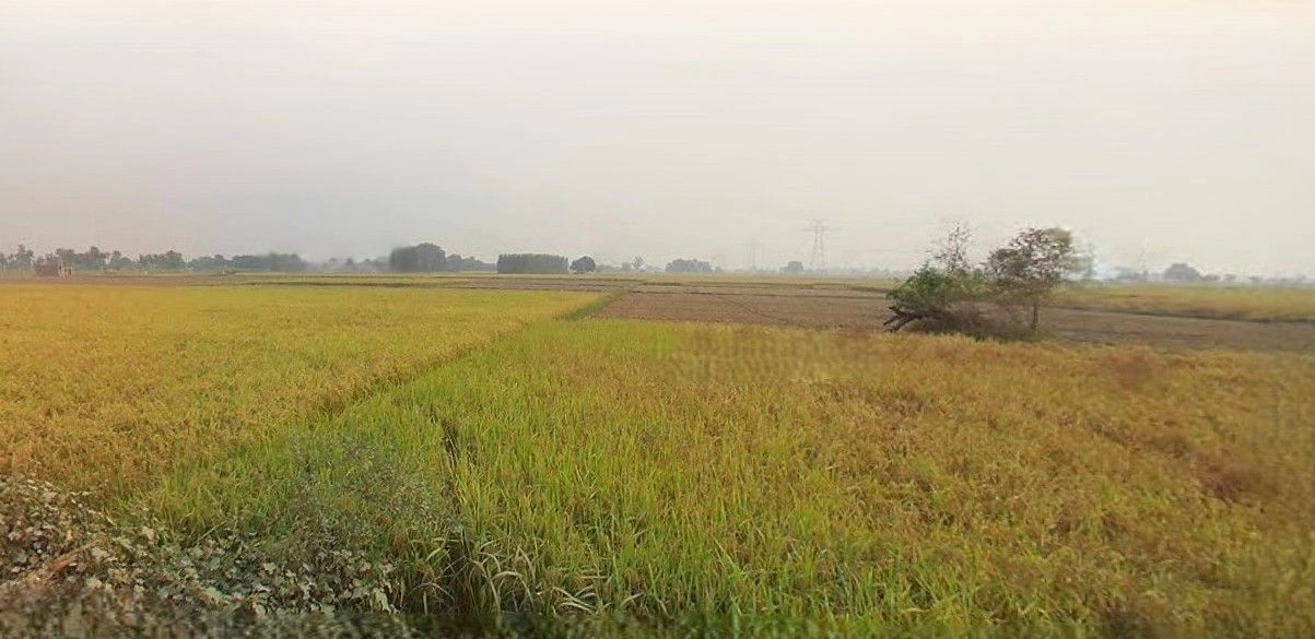 Purwa, Uttar Pradesh, India