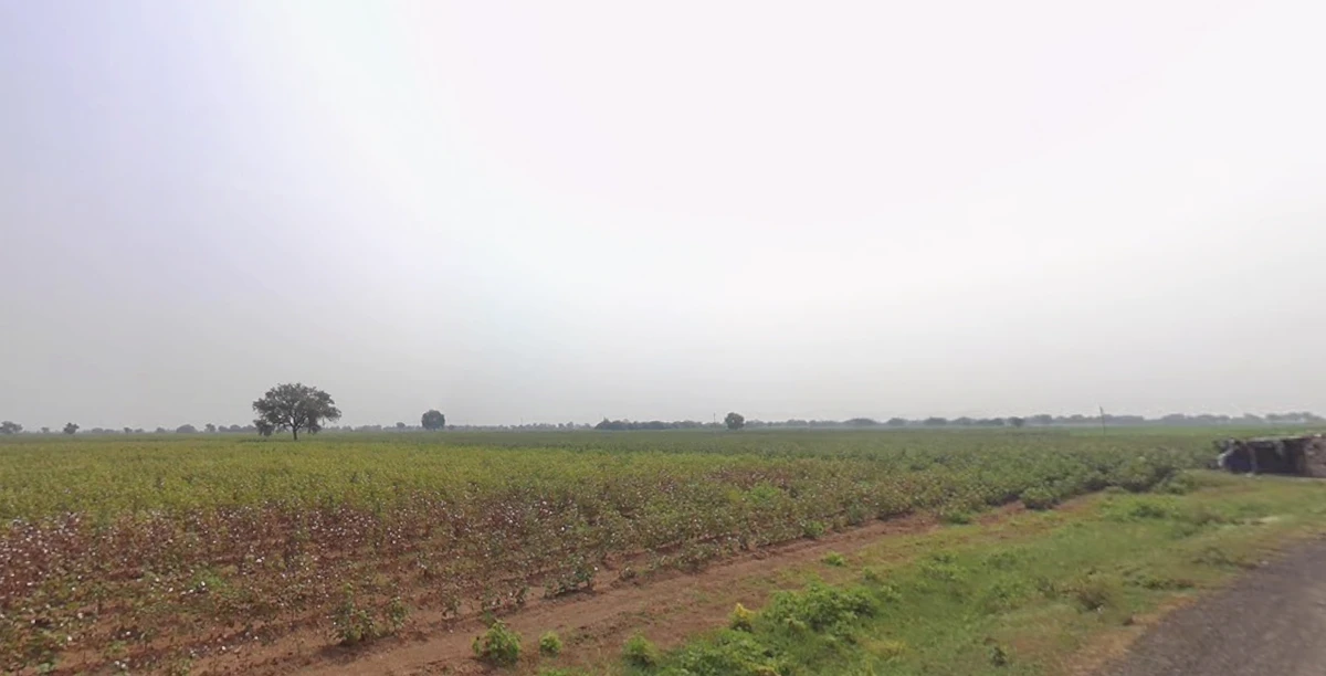 Rajpur, Gujarat 382225, India