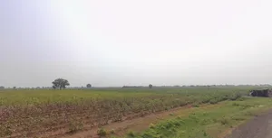 Rajpur, Gujarat 382225, India preview 3