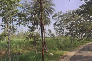 Unnamed Road, MP45+XHJ, Shahpur Fagauta, Uttar Pradesh 245101, India preview 3