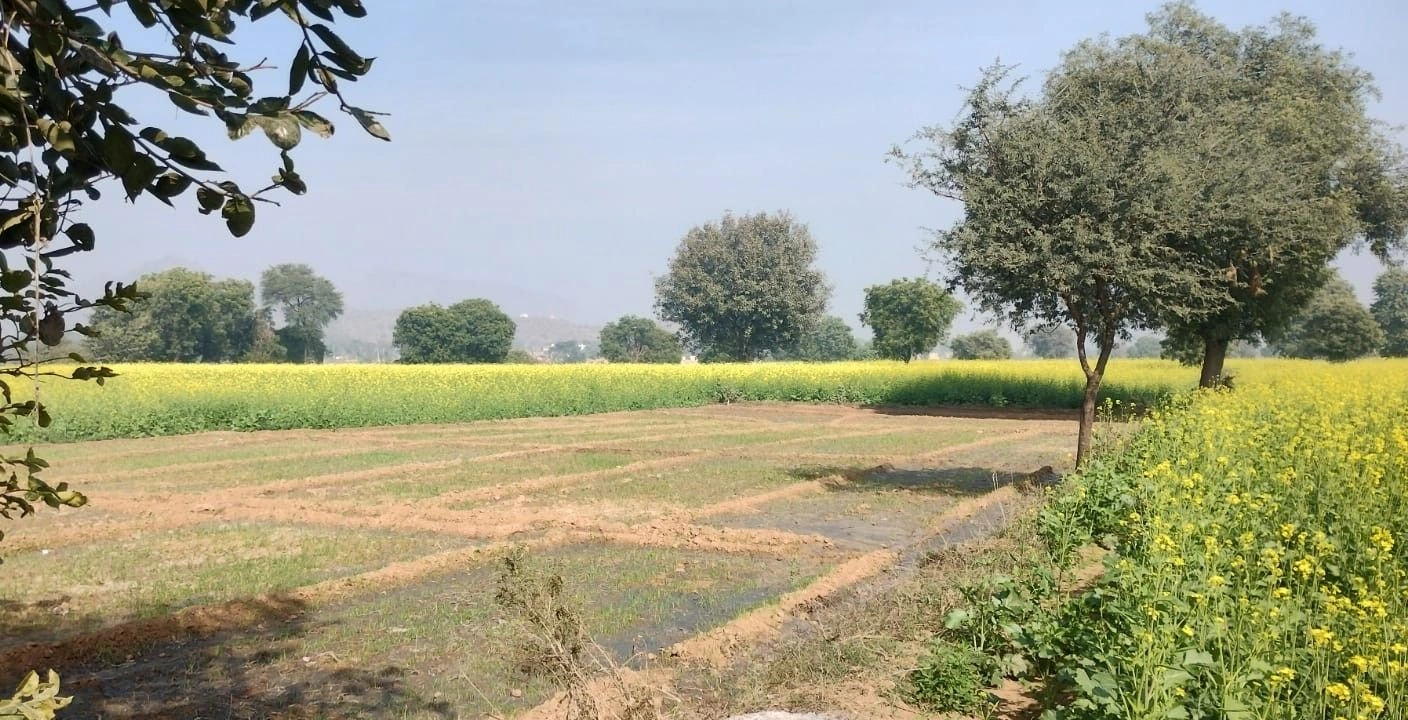 Bansur, Rajasthan 301402, India