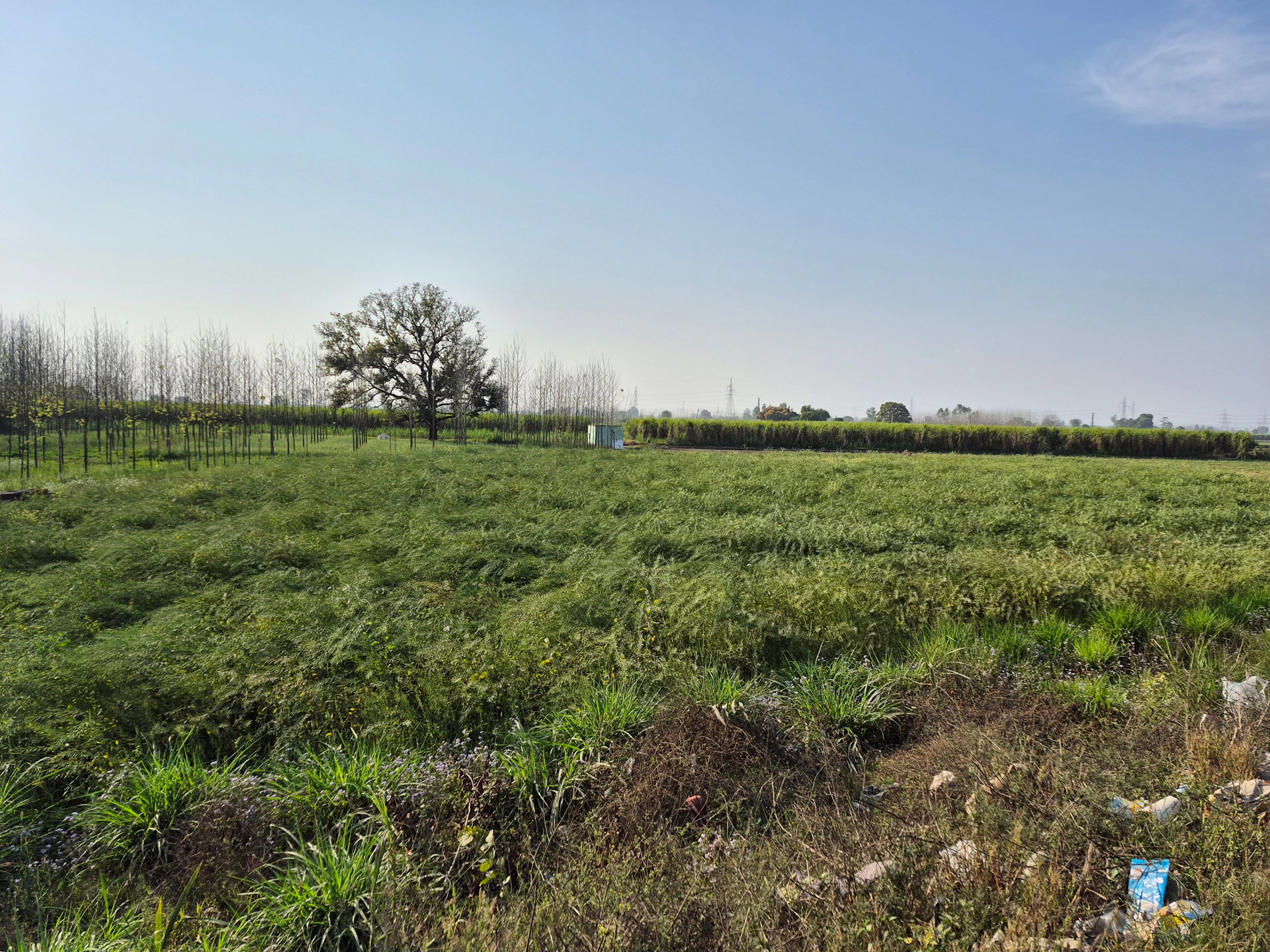 NH 58, Khatauli Bypass, Bhainsi, Uttar Pradesh 251201, India