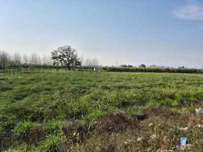 NH 58, Khatauli Bypass, Bhainsi, Uttar Pradesh 251201, India preview 3