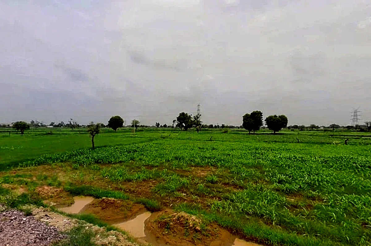 Chomu, Rajasthan, India