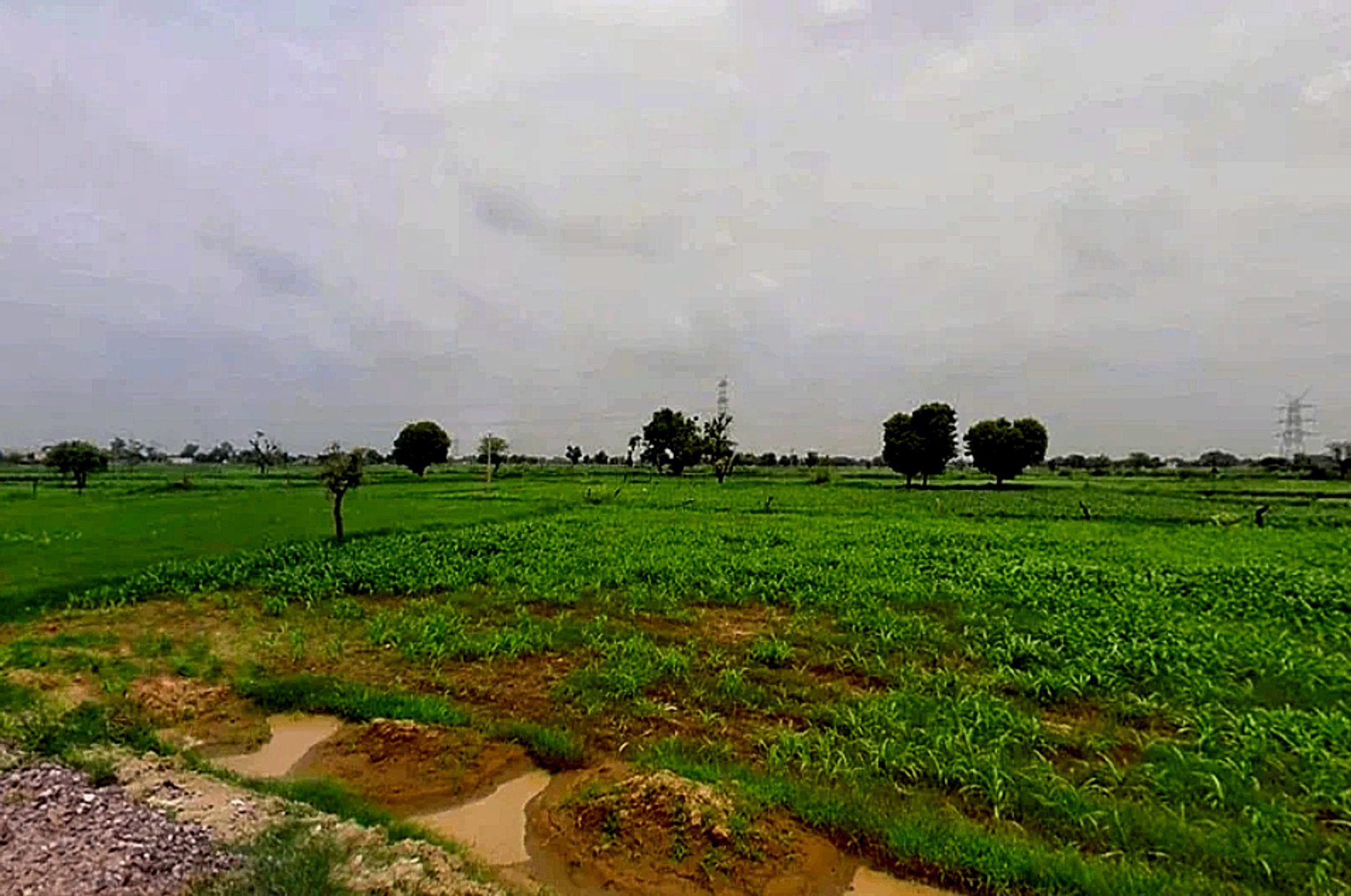 Chomu, Rajasthan, India