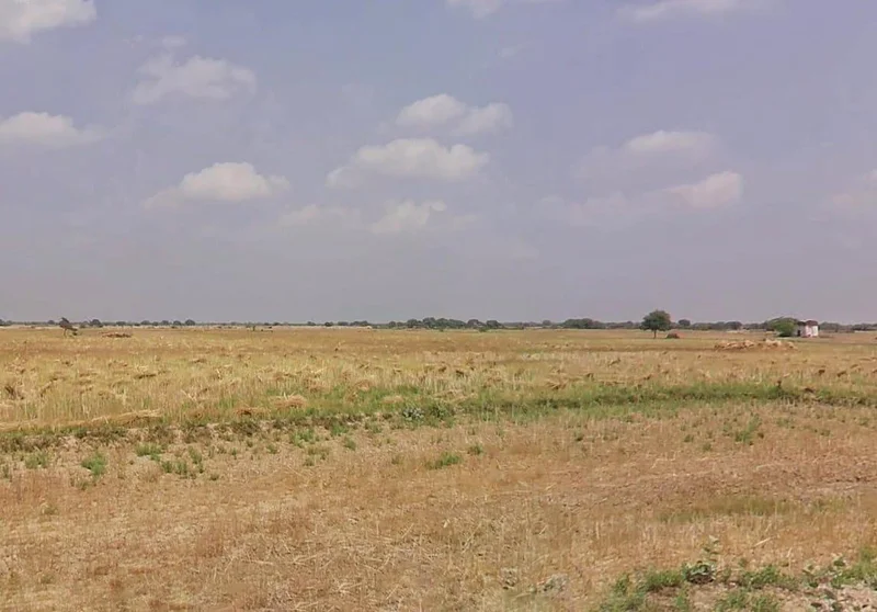 Mau, Madhya Pradesh 477222, India preview 3