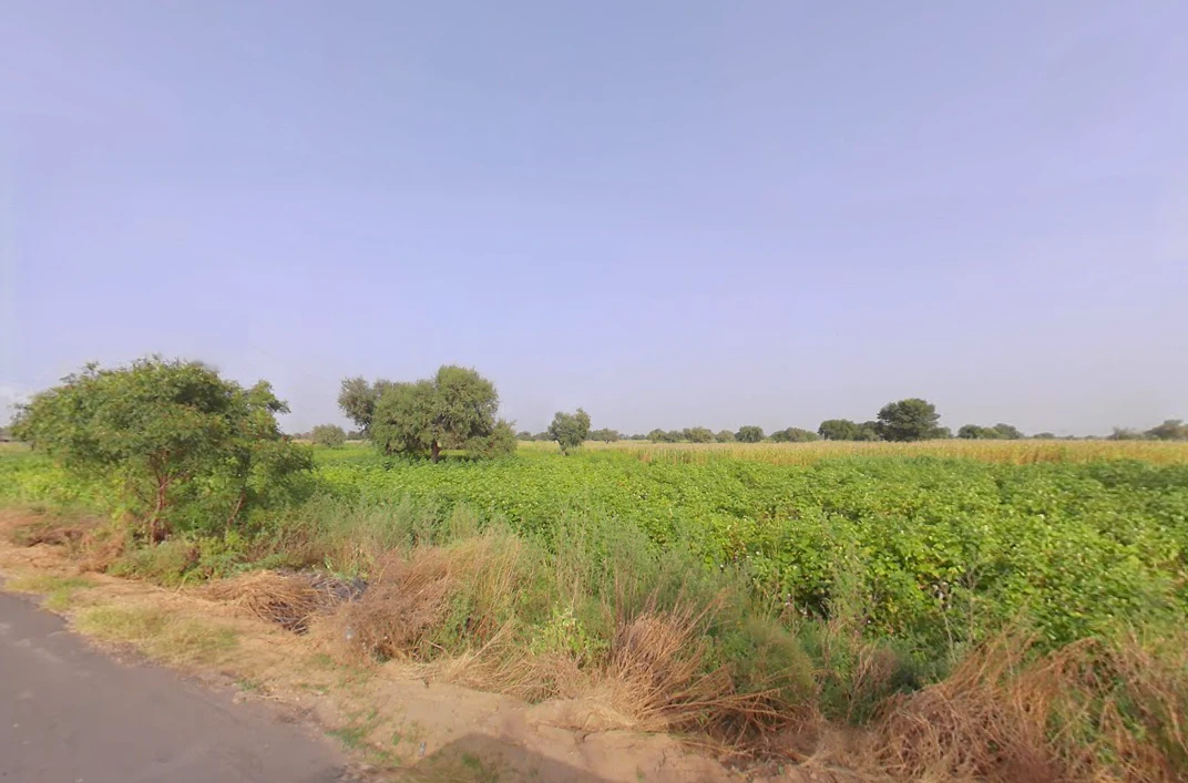 Jant, Haryana, India