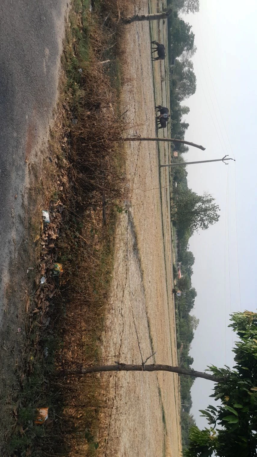 M7F6+2W Durga Pur, Uttar Pradesh, India