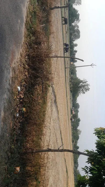 M7F6+2W Durga Pur, Uttar Pradesh, India preview 3