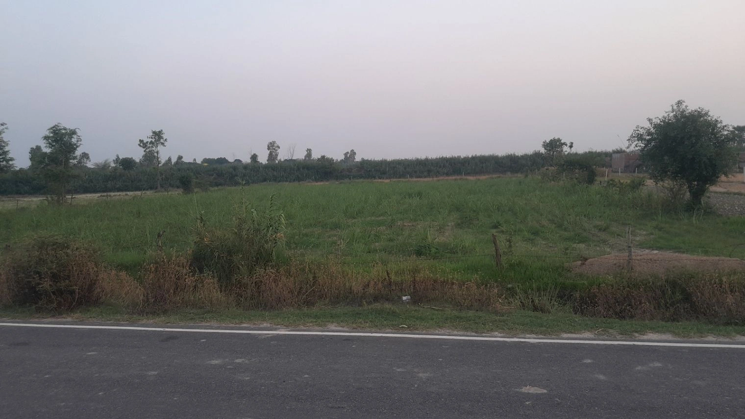 Q33Q+XG Kot Saray, Uttar Pradesh, India preview 2