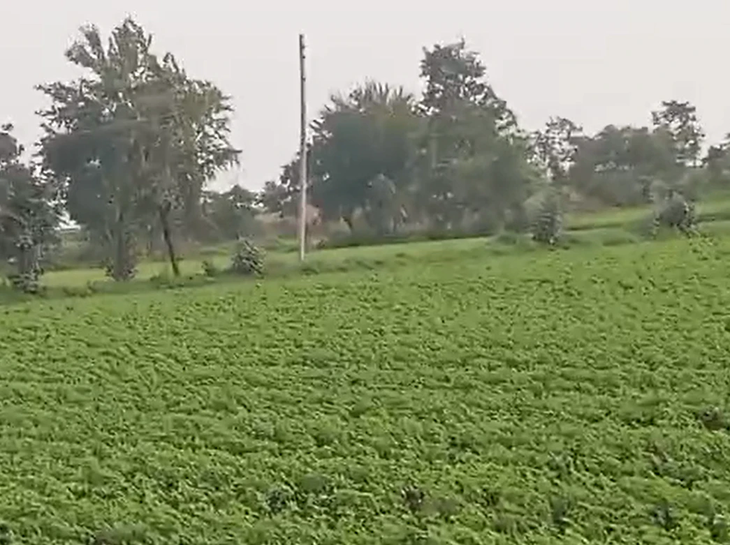 Chhangara, Dhar, Madhya Pradesh 454665, India