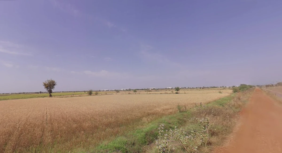 Viramgam, Gujarat 382150, India