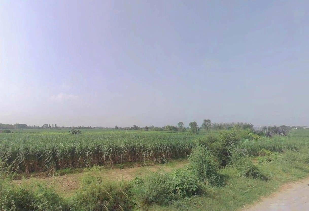 P456+QQ Palwada, Uttar Pradesh, India