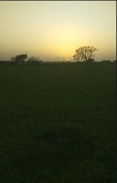 JXPM+4H Beejana, Rajasthan, India