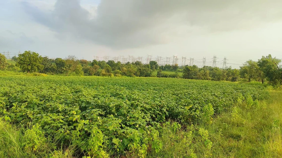 9QQJ+7P Dadhera, Maharashtra, India