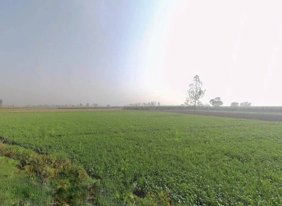 Burja, Rajasthan 301001, India