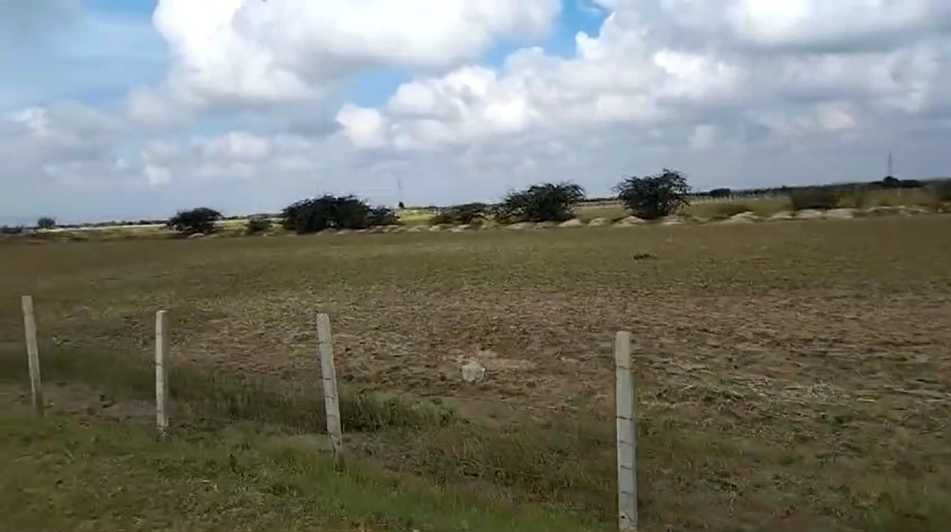 2JWQ+PM Khareda, Rajasthan, India