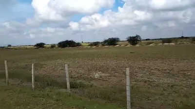 2JWQ+PM Khareda, Rajasthan, India preview 2