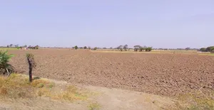 Raisen, Madhya Pradesh, India preview 2