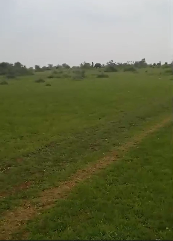 Borbawadiya, Khargone, Madhya Pradesh 451220, India