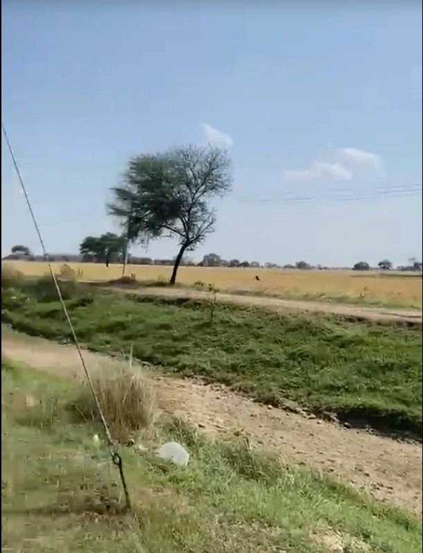 X8FM+X66, Akbai Badi, Madhya Pradesh 475110, India