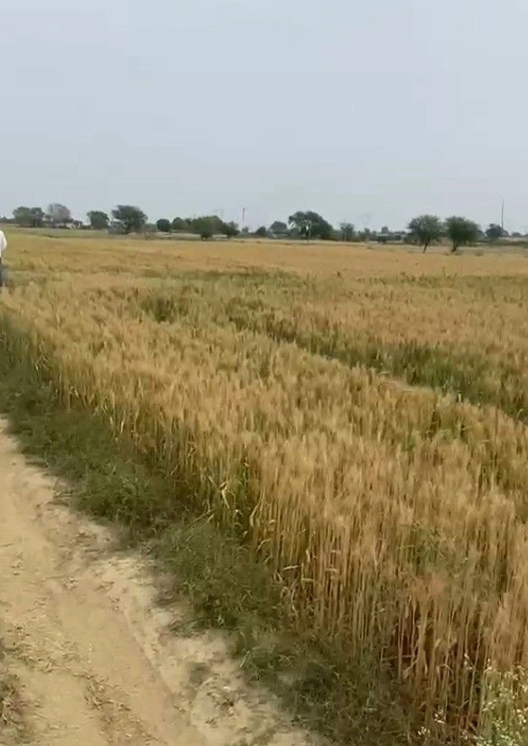 Virrat, Madhya Pradesh 475115, India