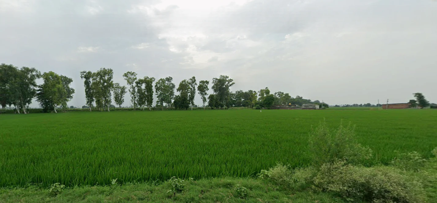 Nurpur Bedi, Punjab 140117, India