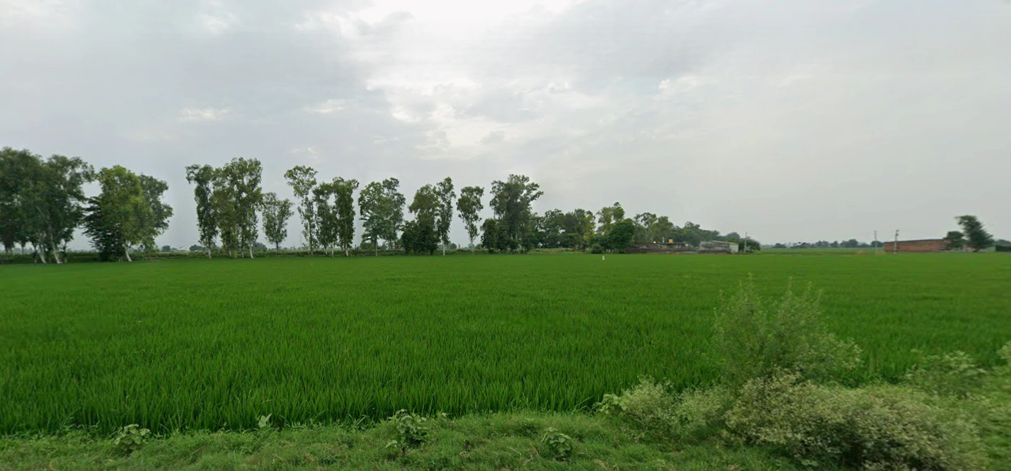 Nurpur Bedi, Punjab 140117, India