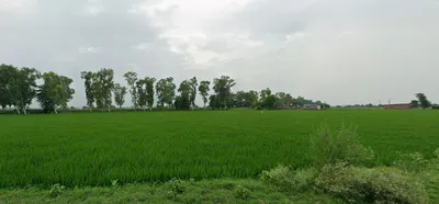 Nurpur Bedi, Punjab 140117, India preview 2