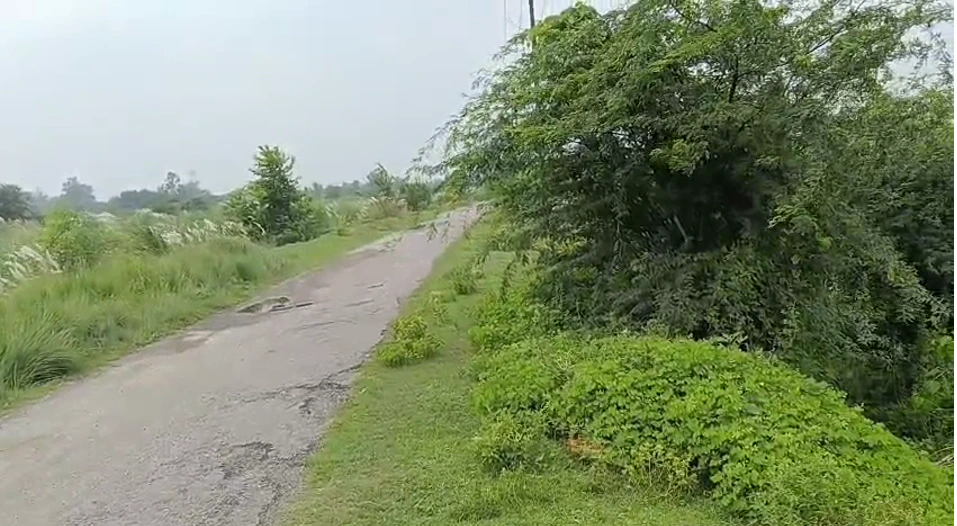Lohari, Panipat, Haryana 132105, India
