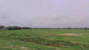 Somesar, Rajasthan 306503, India preview 3